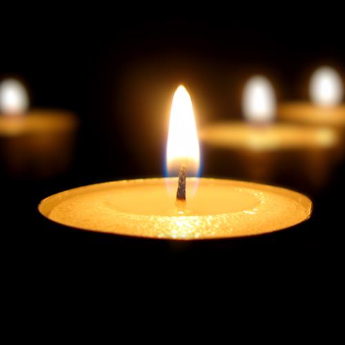Bryan-Lee Funeral Home Obituaries & Services In Garner, Nc