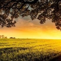 Mr. Claude R. McGaha obituary, Scottsboro, Scottsboro