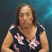 Delores Leon Castillo obituary, Lubbock, Lubbock