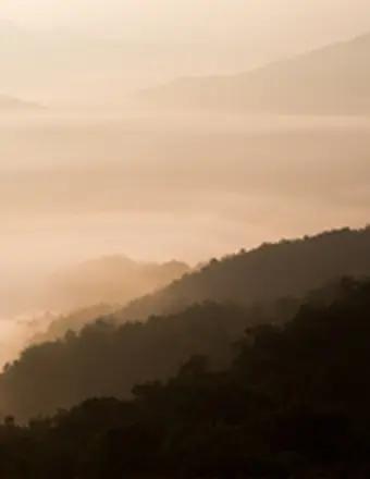 Alejandro Abimael Urdaneta Basanta obituary, Nashville, Nashville