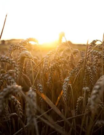 Mr. Karl Steven Bluhm obituary, Columbus, Columbus