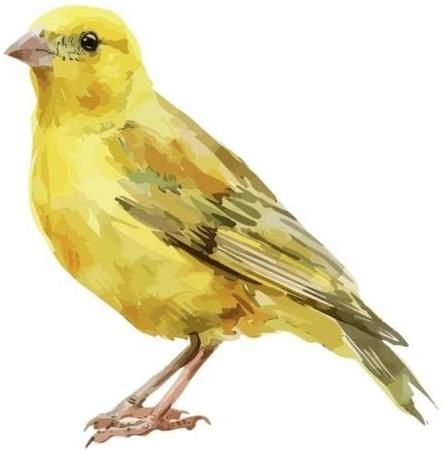 Alan Ellams obituary, , Wolverhampton