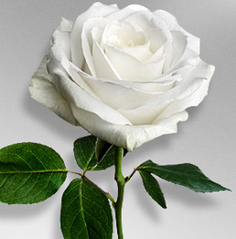 Kenneth Glacken obituary, Hagerstown, Hagerstown