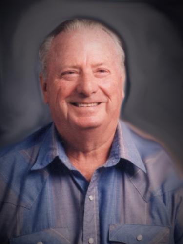 Lee R. Simmons obituary, Carterville, Carterville