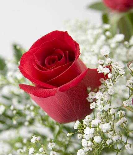 Pauline Arledge obituary, , Hillsboro, Hillsboro