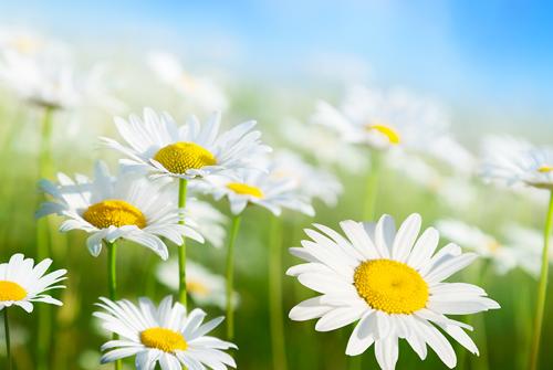 Barbara Brummett obituary, Indianapolis, Indianapolis