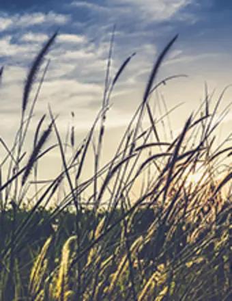 Philip Jaynes obituary, Stuart, Lake Worth