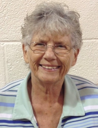 Carol Michel obituary, , Sandusky, Sandusky, Norwalk