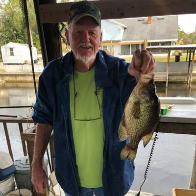 William Fred Rewis Sr obituary, Haines City, Haines City