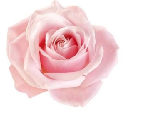 Ometa Browne obituary, , Luton