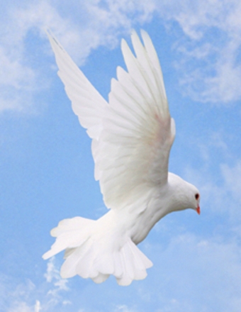 Victoria "Vickie" (Vickie) L. Hess obituary, Cumberland