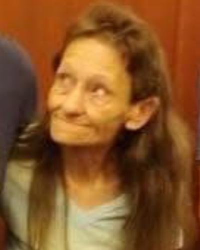 Vickie Fay Stringfield obituary, Loudon, Loudon