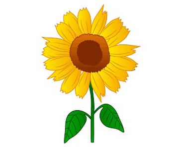 Wana HALE obituary, , Albany, Auckland