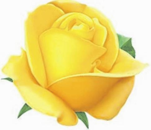 Doreen Winrow obituary, , Preston