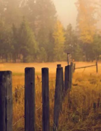 Charles Brown obituary, Osage Beach, Camdenton