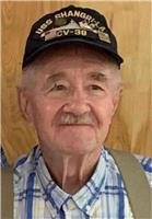 George Allen Wolsfelt obituary, Lake City, New Smyrna Beach, Lake City, St. Louis, St. Louis