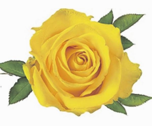 Doreen Winrow obituary, , Preston