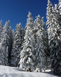 Don Lichty obituary, Defiance, Defiance, Defiance