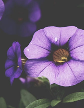 Debra Workman obituary, Medford, Medford