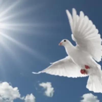 Johanna Bueno obituary, Kissimmee, Kissimmee