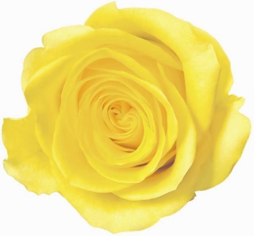 Doreen Winrow obituary, , Preston