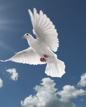 Gary McClung obituary, Columbia, Columbia