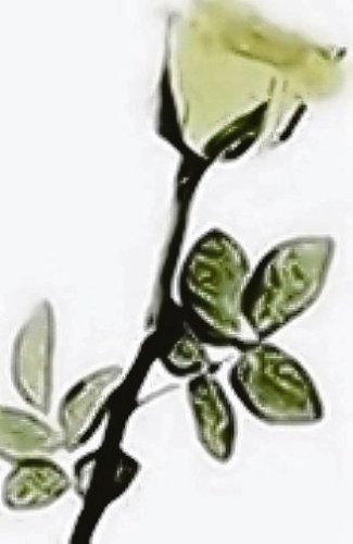 Joy Franklyn obituary, , Coventry