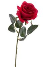 Jacqueline Sargeson obituary, , Rotherham