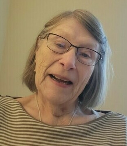 Geraldine Elizabeth Heintz (Burk) obituary, Joliet, Joliet, Joliet