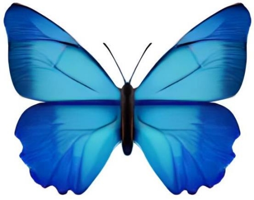 Naaman ROWE obituary, , Chichester