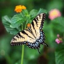 Danny Arellano obituary, Mission Hills