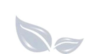 Judith Ann SMITH (Judy) obituary, , Warkworth, Auckland