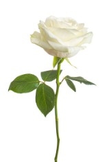 Pamela Aspinall obituary, , Leamington Spa, Coventry