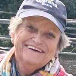 Donna Lee Simmons obituary, Crown Point, 