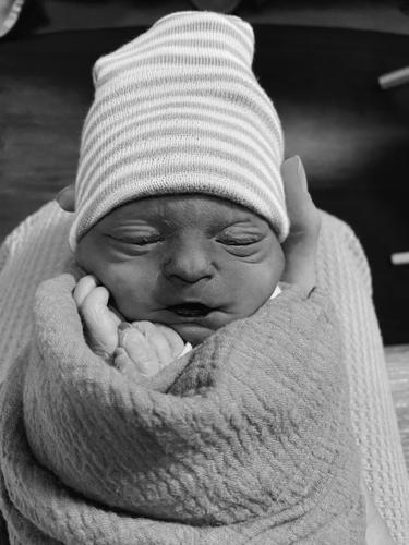 Shepard Troxel obituary, Decatur, Decatur