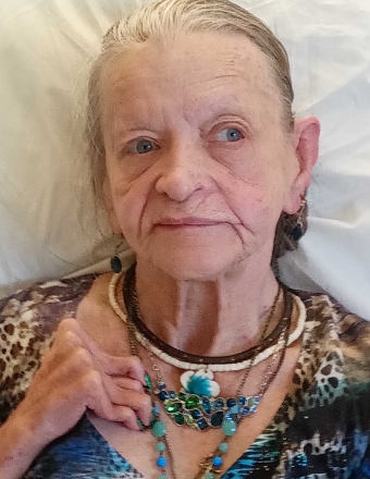 Patricia Jenkins obituary, , Mahoning Township, Dayton, Dayton