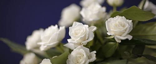 Rosie R. Milla obituary, Queen Creek, Queen Creek