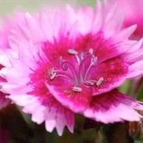 Jennifer Hubble obituary, Roswell