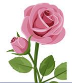 Milena BRAJKOVICH (Franicevich) obituary, , Auckland