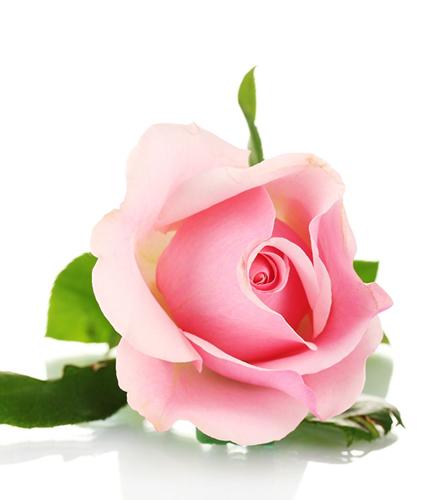 Lucille Knight obituary, , Taunton, Middletown, Dayton