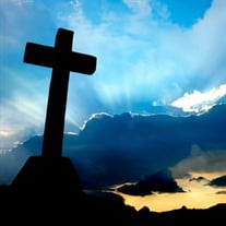 Tadeusz Surman obituary, Chicago, Chicago