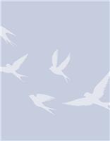 Cameron J. Carson obituary, Augusta, Augusta, Augusta, Evans