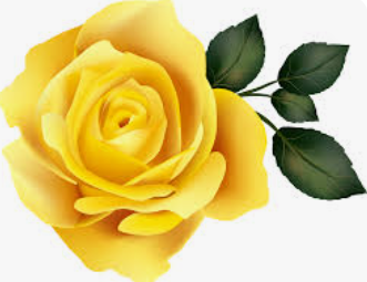 Diane Watts obituary, , Banbury