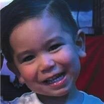 Grayson Nghia Weil obituary, Ponchatoula, Hammond