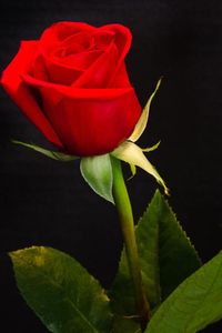 Bessie S. Merriweather obituary, East Point, East Point