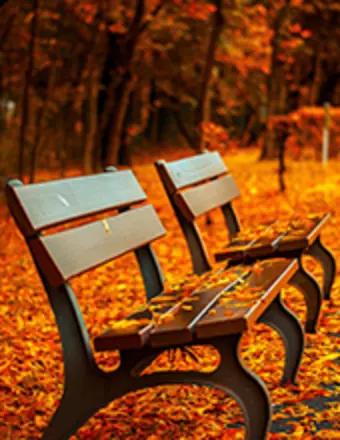 Vishnu (Rohan) Persaud