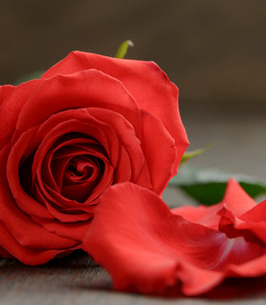 Christine Mountjoy obituary, Pomeroy, Clarkston