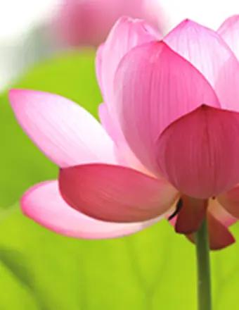 Juanita Prioleau obituary, Riverdale, Riverdale