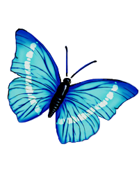 Patricia Ann Mitchell