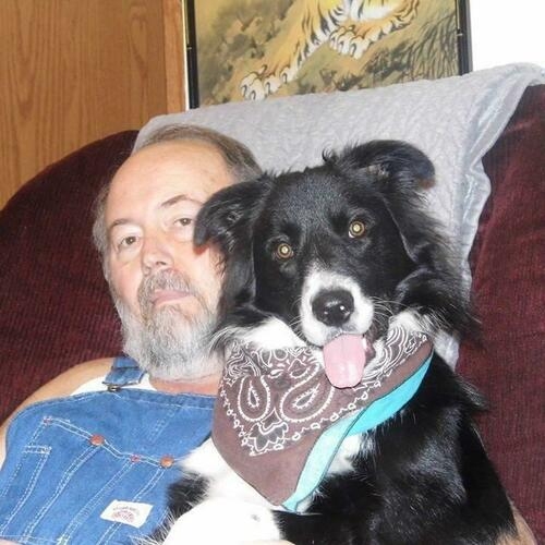 William Herbert Hardy